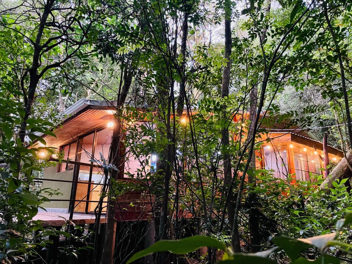 Cabañas La Montaña Monteverde Exterior foto