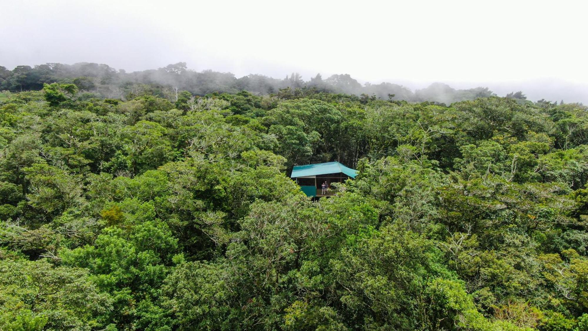Cabañas La Montaña Monteverde Exterior foto