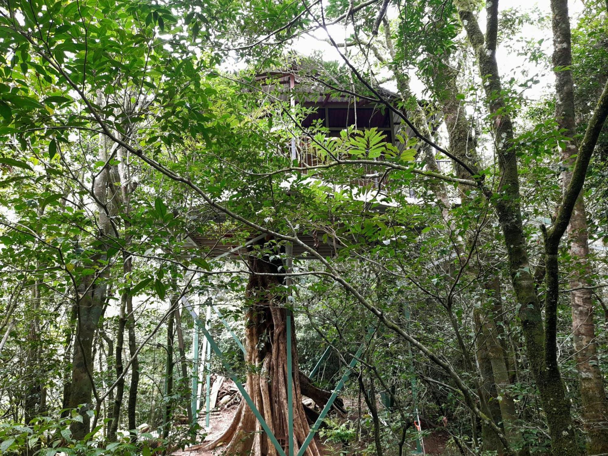 Cabañas La Montaña Monteverde Exterior foto